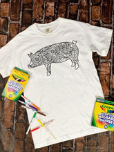 Load image into Gallery viewer, Coloring shirts