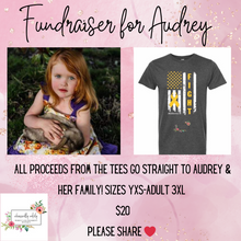 Load image into Gallery viewer, Fundraiser for Audrey
