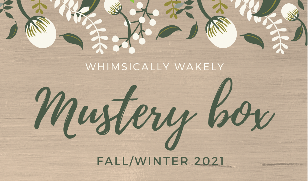 2021 fall/winter mystery box (children’s)
