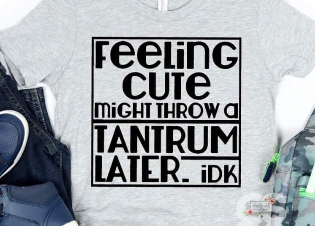 Feeling cute might throw a tantrum later idk