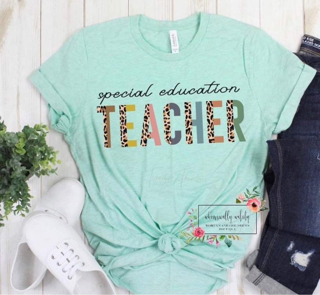 Special Education Teacher