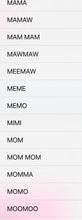 Load image into Gallery viewer, Custom name Pre-Order
